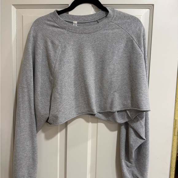 ALO Yoga Heather Gray Cropped Hoodie - Picture 1 of 3